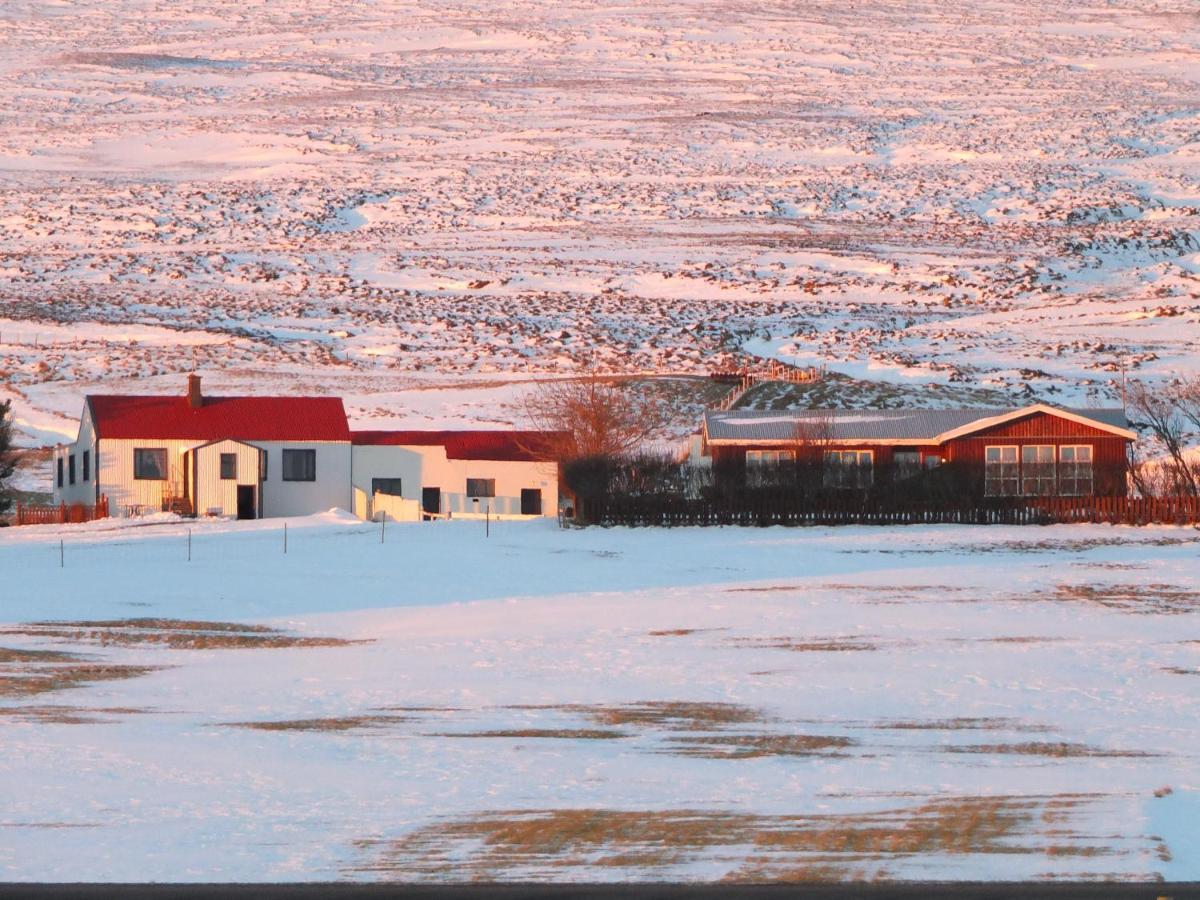 Apartment Nethra-Vatnshorn Hvammstangi Exteriör bild